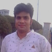 Professional WordPress Developer and Newspaper Specialist