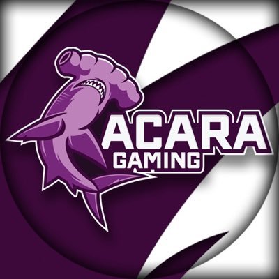 AcaRa Gaming, LLC 🇺🇸