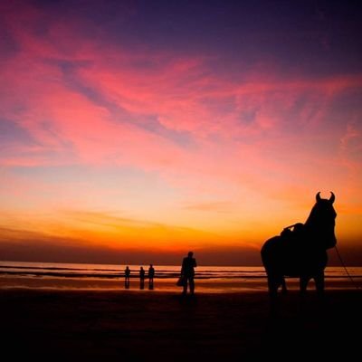 Bahaaray_Gul's profile picture. Doctor...Nishtarian 
#Gemini 10 june