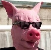 PuercaDon's profile picture. solo por diversión dm  #siguemeytesigo