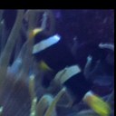 Richard Salt - @archnemo - Twitter