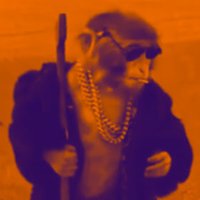 Olly (@kamakazolly) 's Twitter Profile