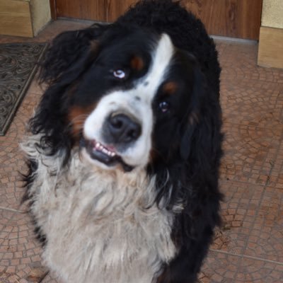 macosxgeek's profile picture. I am what I am. — Michael Jordan