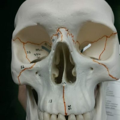 AlbertoFninety4's profile picture. 