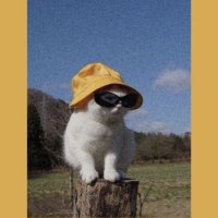tivitır kullanmıyorum (@tivitr_kulanmyr) Twitter profile photo