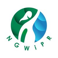 Nigerian Women in Public Relations & Communication(@NGWomeninPR) 's Twitter Profile Photo