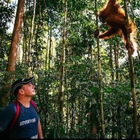 Mike King (@mikeking121) 's Twitter Profile