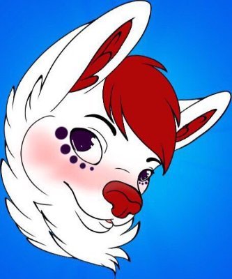 Hewwo everyone! It's me RyRy, your happy energetic little husky! hope you all have a magical day!