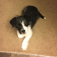 A voice for women (@barbaragevat) 's Twitter Profile Photo