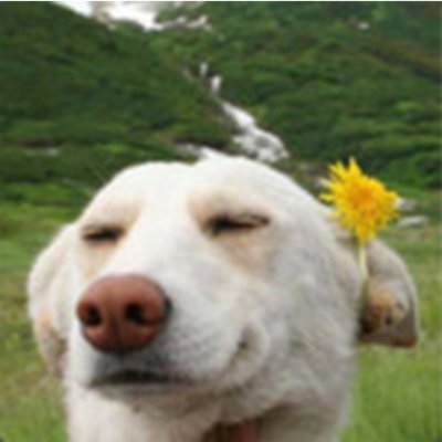 M1n1Maag's profile picture. Хэллоу всем фэнам! Я новый прорывной лицо этой площадки! Если вы на меня подпишитесь в течении 30 секунд, то найдете айфон под подушкой.