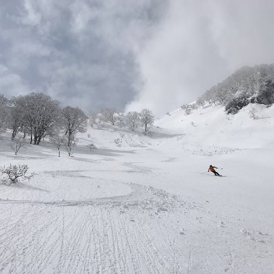 homma1992's profile picture. 