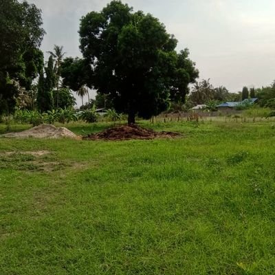 PastorMdoe's profile picture. God is good for me