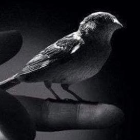 ﴿ وَهُو معَكم أينَما كُنتُم ﴾ طمأنينة في كل خطوه نخطوها.✨🖤