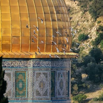 TabdullahAzzam's profile picture. ‏‏ثلاث يعز الصبر حين وقوعهاويذهل عنها عقل  كل لبيب ~خروج اضطرار من بلاد يحبهاوفرقة إخوان
 وفقد حبيب ...