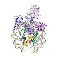 Chromatin Haiku (@chromatinhaiku) 's Twitter Profile Photo Chromatin Haiku (@chromatinhaiku) 's Twitter Profile Photo