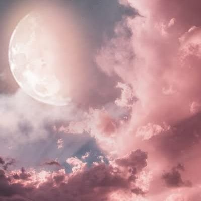 tessalovemoon's profile picture. ┌──❀*̥˚──◌────☽*̥˚─┐
       
                                               ᥱ⳽toᥙ ᥲϙᥙɩ ᥲρᥱᥒᥲ⳽ ρᥲɾᥲ








ᥱᥒᥲꙆtᥱᥴᥱɾ o⳽ ຕᥱᥙ⳽ ᥲຕᥲᑯo⳽ Ꙇɩʋɾo⳽
└◌───☽*̥˚ ──◌───❀*̥˚┘