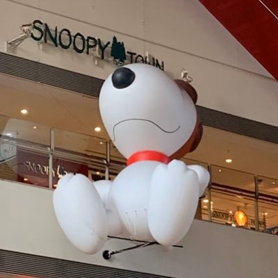 G5I5DpQ1pFwa6iR's profile picture. 