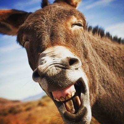 grafica_aplicad's profile picture. Fabricacion de todo tipo de Anuncios, Rotulacion Electronica,
Impresion Gran Formato y en Alta, 
Promocionales y estampado en textiles.....