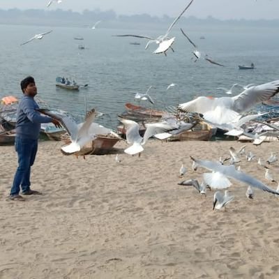 Assistant professor, KNIT Sultanpur