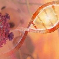 Rgenta Therapeutics (@rgentatx) 's Twitter Profile