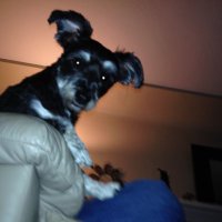 Bo Hunter (@mylifeflashed) 's Twitter Profile
