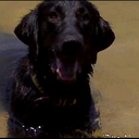 clark watts - @nema3x - Twitter