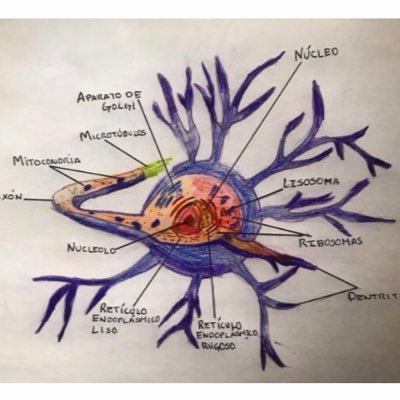 Raymundogalvan's profile picture. 