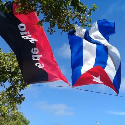 cubano, revolucionario  de pura sepa, Martiano, fidelista y convencido que un mundo mejor es posible