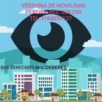 Veeduria de Movilidad Pereira (@veeduriap) 's Twitter Profile