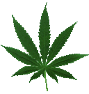 House of Herb - @HouseofHerb - Twitter