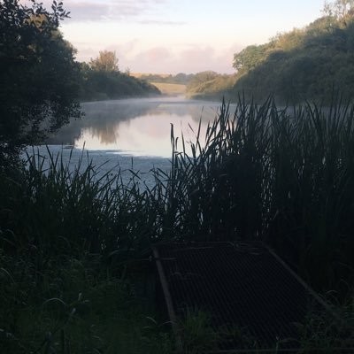 Brenda Carson Profile