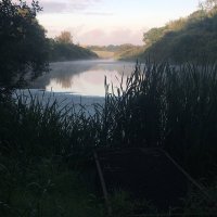 Brenda Carson (@brendacarsonqi) 's Twitter Profile