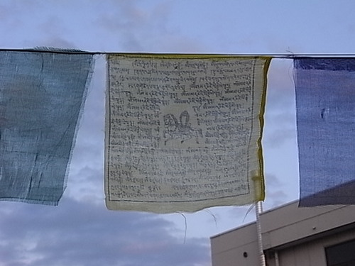 tibetweeterTYO's profile picture. A pro-Tibet Japanese. Tweeting mainly in Japanese, sometimes in English, Chinese & Tibetan. *無断トゥギャと排外主義者お断り *2011/4/13迄使用していたユーザ名tibet_news_jpnを別人が使用。当方とは全く無関係