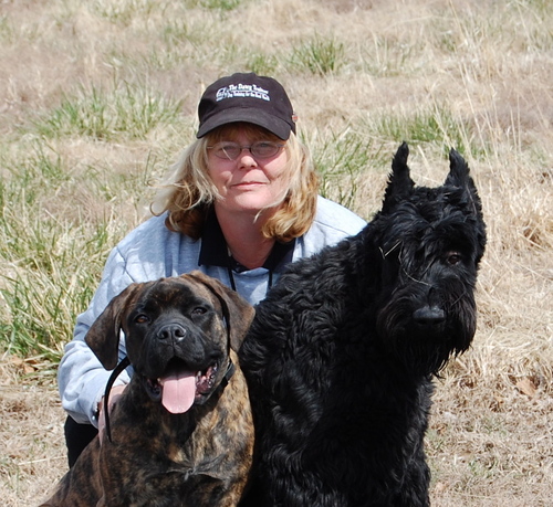 St. Louis Dog Training For The Real World