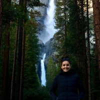 Lisa Carson (@drlisacresearch) 's Twitter Profile