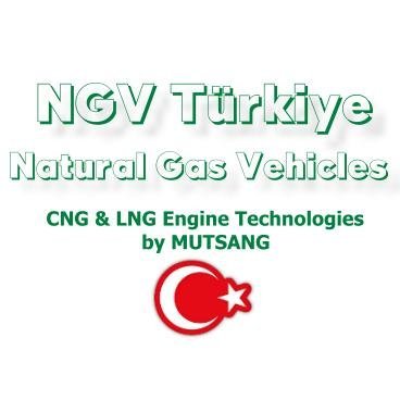 NGV (Natural Gas Vehicles) ... 
CNG Truck Engines by MUTSANG ...
