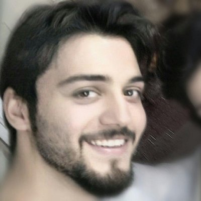 Gilgamesh in Machine Learning

PhD, Cognitive Science & AI @ TU/ MindLabs, Netherlands
MSc, BioElec Eng @ Tehran Polytechnic, Brain&Behaviour Studying Lab