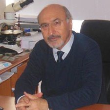 Emekli Profesör
Karadeniz Teknik Üniversitesi Jeoloji Mühendisliği Bölümü