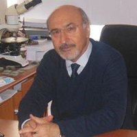 Prof. Dr. Osman Bektaş(@profobektas) 's Twitter Profile Photo