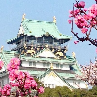 いけばな小原流大阪支部です。ツイッターを通じて、大阪支部の活動やいけばなの魅力を発信していきます。