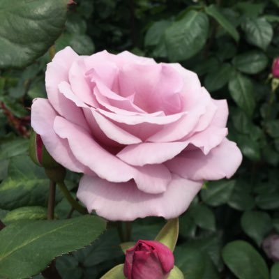 yokohaku0908's profile picture. 