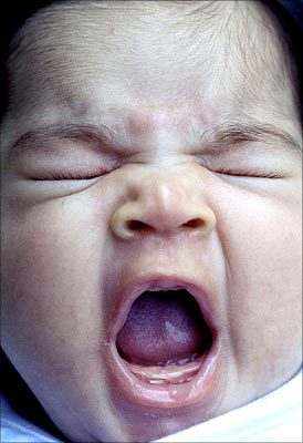 bohum24's profile picture. http://t.co/WgjETJqv0u 보험도 가격 비교할 수 있다! 모든 보험. 무료 보험비교사이트  보험24.