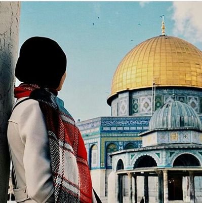 Palestinian Girl from Jerusalem,
aiming to give a full picture about Palestine.