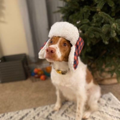 rkcarroll's profile picture.