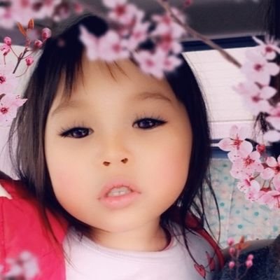 namoha393's profile picture. 毎日子育て奮闘中(笑)