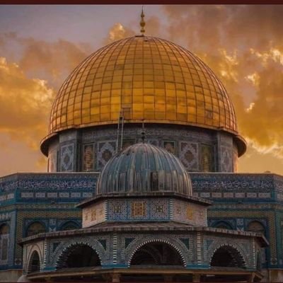 ghadahassan491's profile picture. Faculty of Law , English department