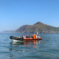 Ilfracombe Sea Safari (@ilf_seasafari) 's Twitter Profile Photo Ilfracombe Sea Safari (@ilf_seasafari) 's Twitter Profile Photo