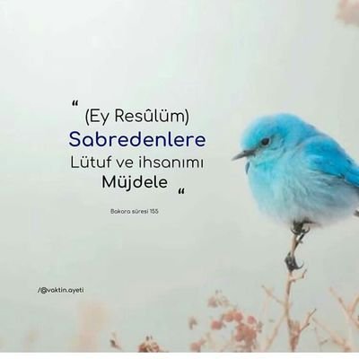 ZehraNergiz5's profile picture. 