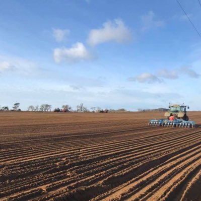 Family run farm in East Suffolk. Specialising in early potatoes, carrots, onions and arable crops. Rural properties to rent. Filming locations available.