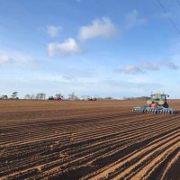 Capel St Andrew Farm (@capelstandrewfm) 's Twitter Profile